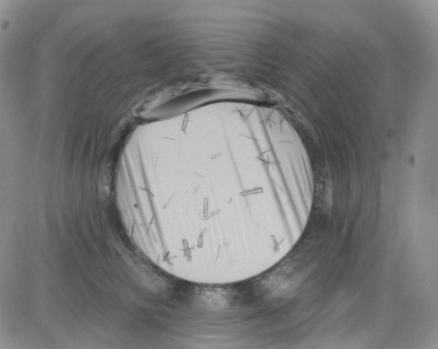 X0000082730710200702232347