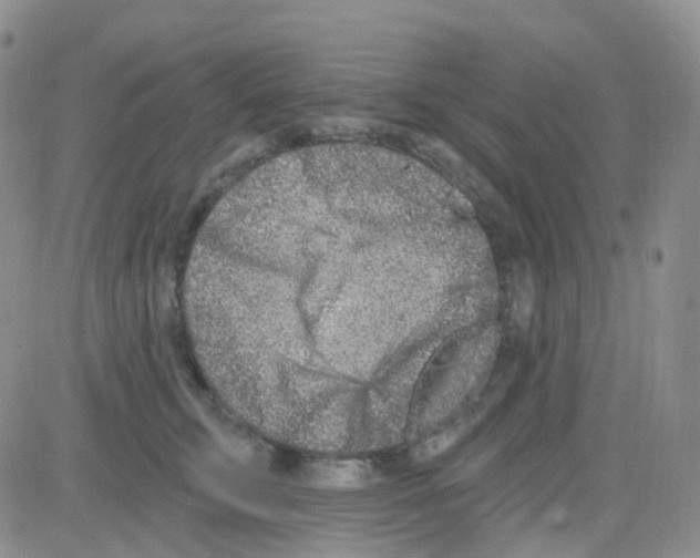 X0000082730711200702232347