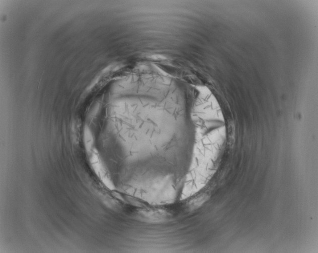 X0000082730712200702232347