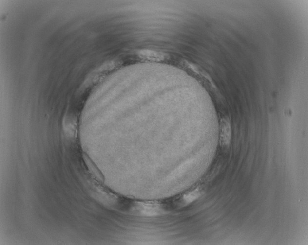 X0000082730713200702232347