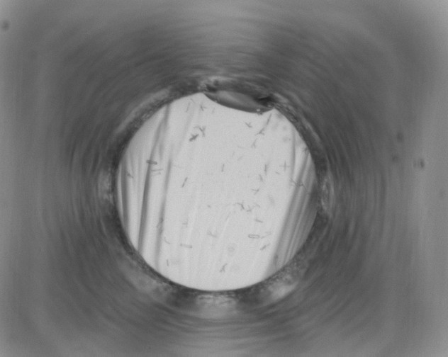 X0000082730714200702232347