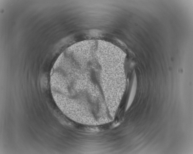 X0000082730715200702232347