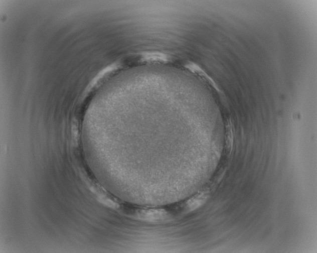 X0000082730716200702232347