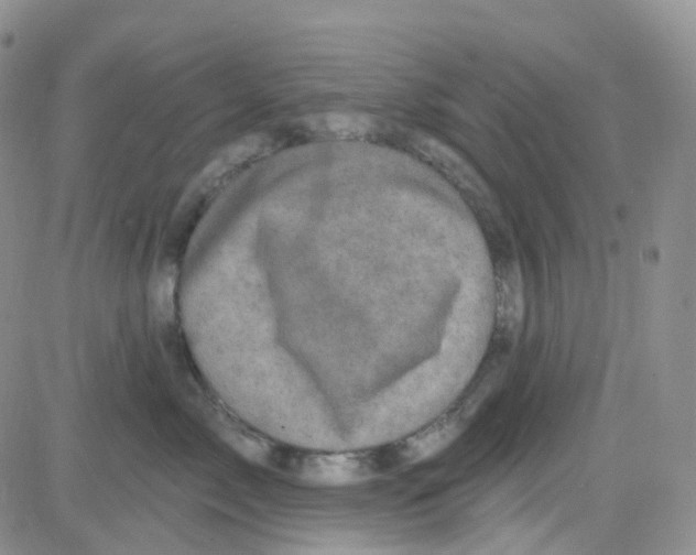 X0000082730717200702232347