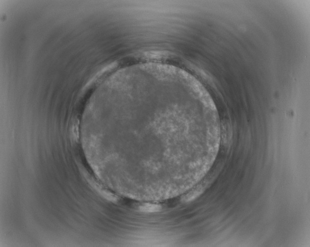 X0000082730718200702232347