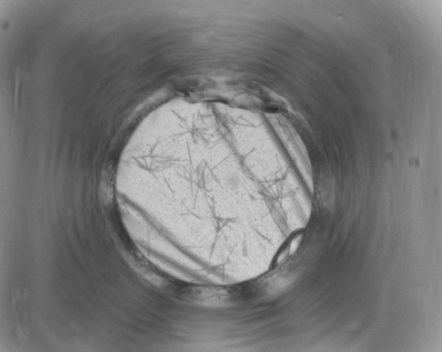 X0000082730719200702232347