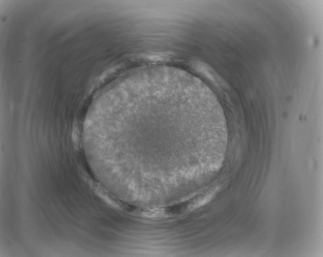 X0000082730720200702232347