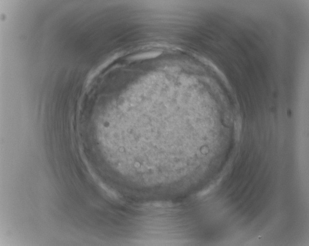 X0000082730721200702232346