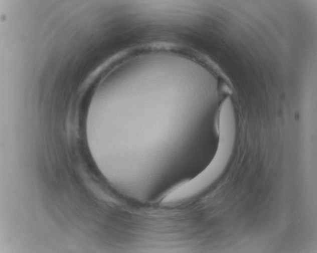 X0000082730722200702232346