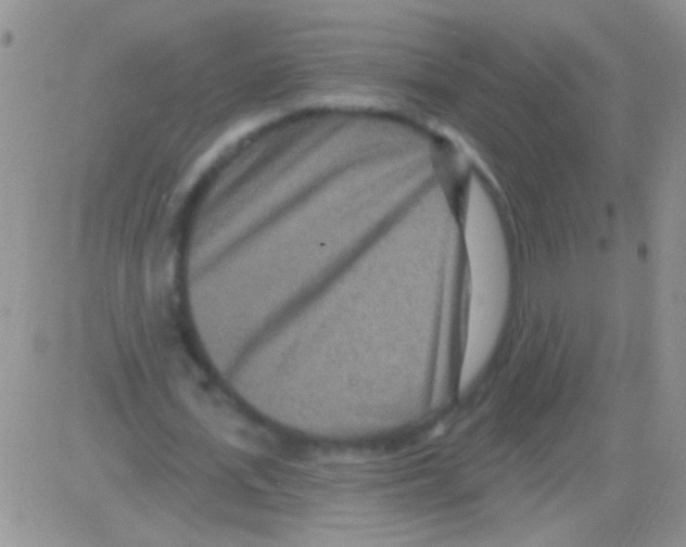 X0000082730723200702232346