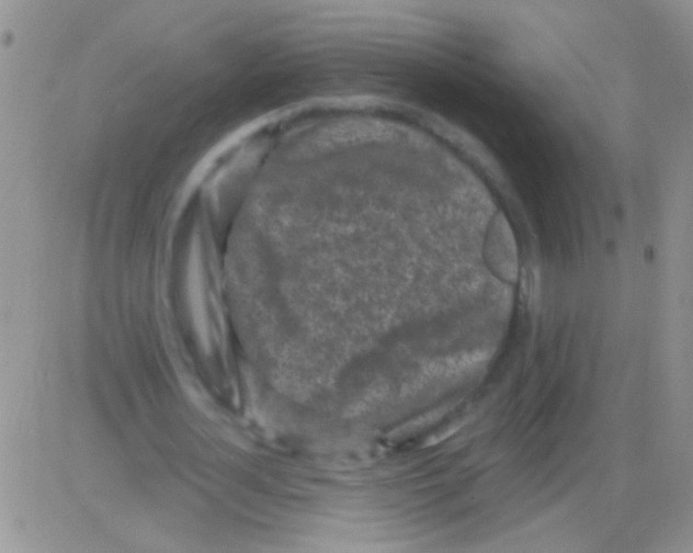 X0000082730724200702232346