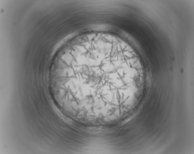 X0000082730725200702232346