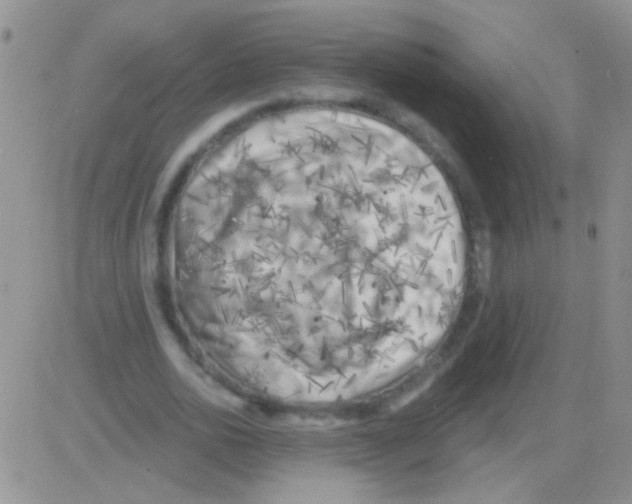 X0000082730726200702232346