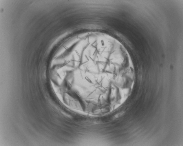 X0000082730727200702232346