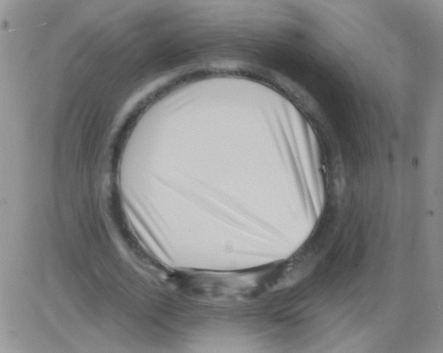 X0000082730728200702232346