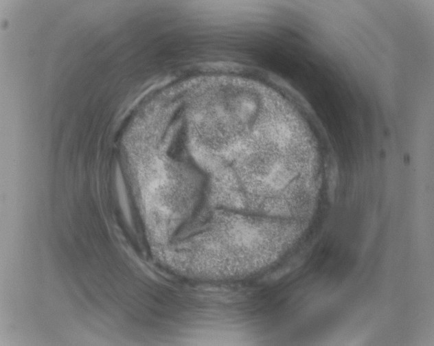 X0000082730729200702232346