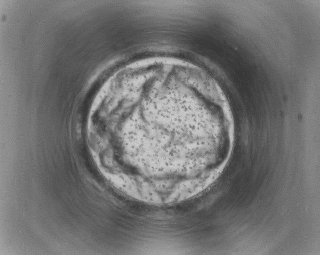 X0000082730731200702232346