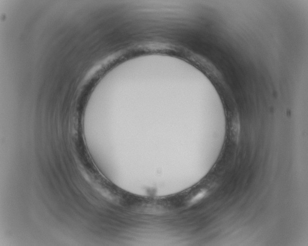 X0000082730732200702232346