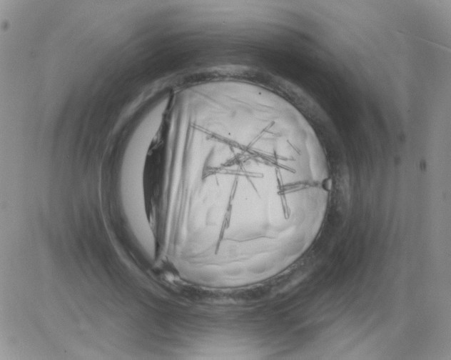 X0000082730734200702232346