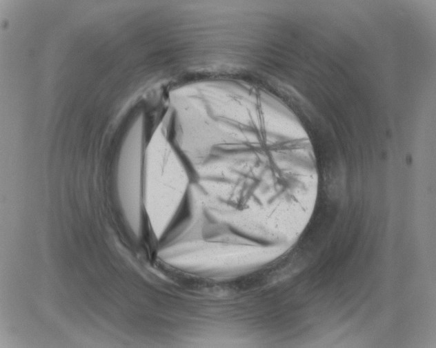 X0000082730735200702232346