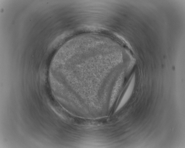 X0000082730736200702232346