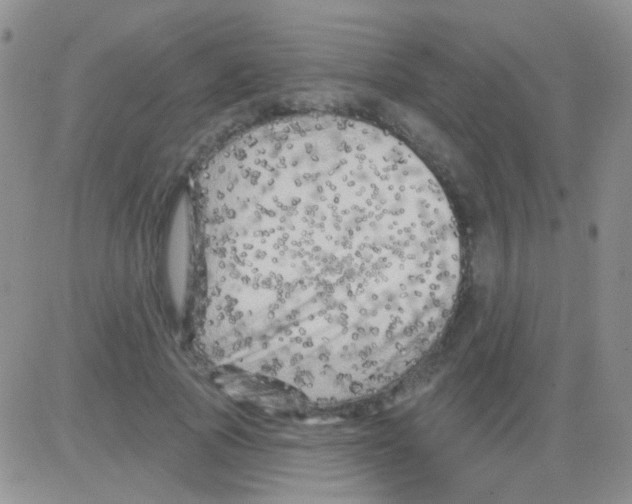 X0000082730737200702232346