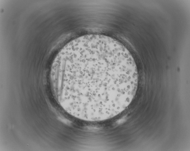 X0000082730738200702232346