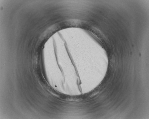 X0000082730739200702232346