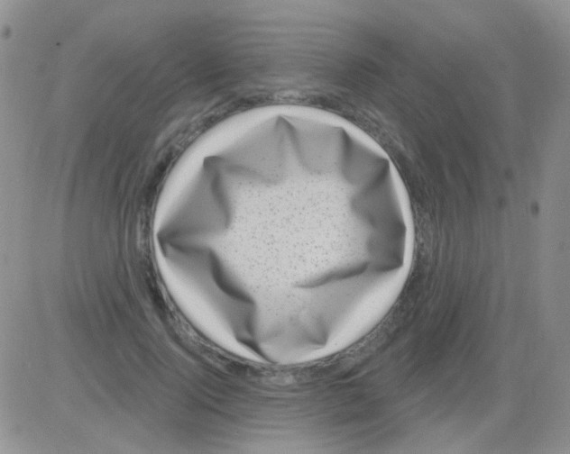 X0000082730740200702232346