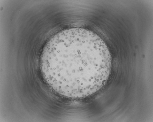 X0000082730741200702232346