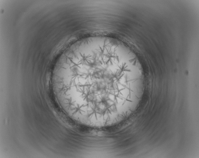 X0000082730742200702232346