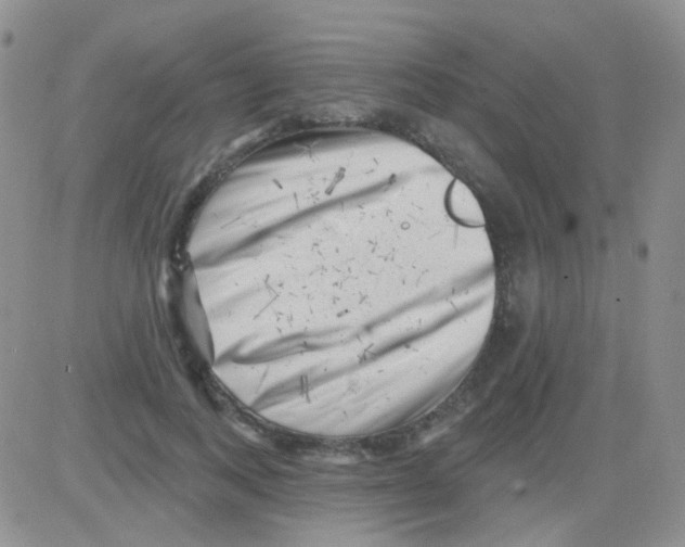 X0000082730743200702232346