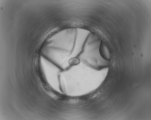 X0000082730744200702232347