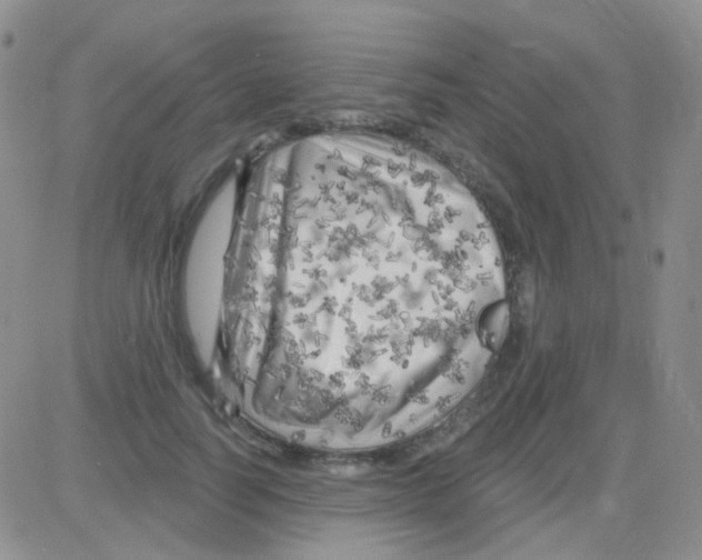 X0000082730746200702232347