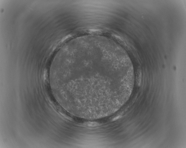 X0000082730748200702232347