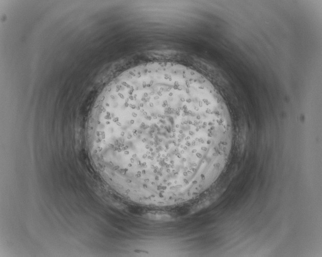 X0000082730749200702232347