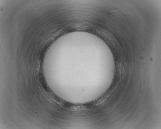 X0000082730752200702232347