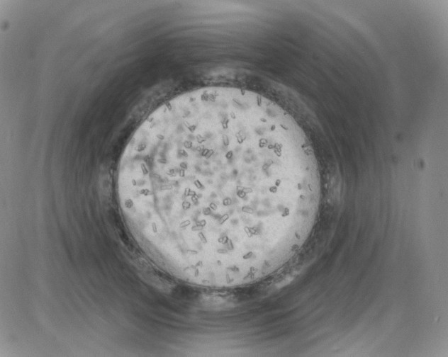 X0000082730753200702232347