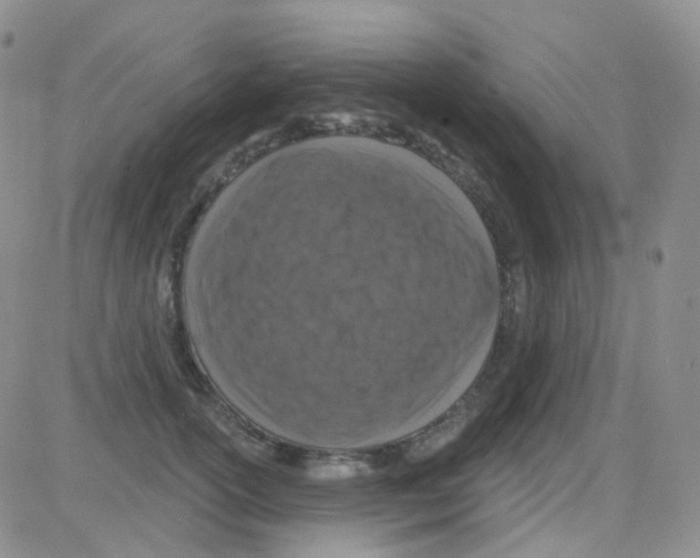 X0000082730754200702232347