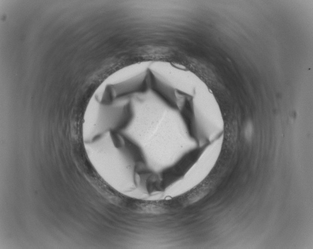 X0000082730755200702232347