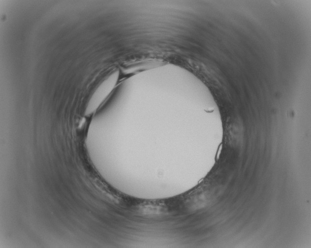 X0000082730756200702232347