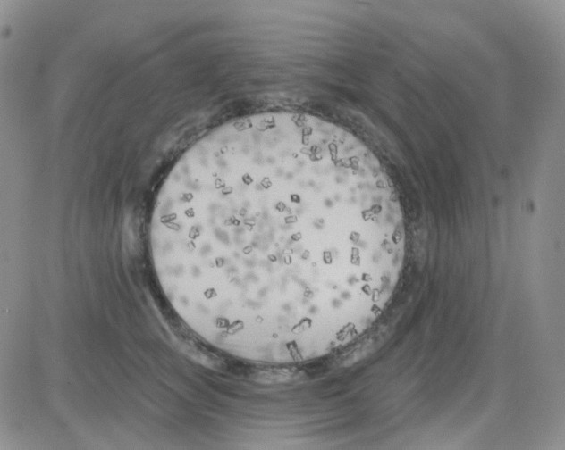 X0000082730757200702232347