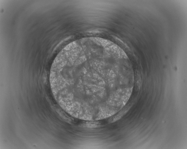 X0000082730758200702232347