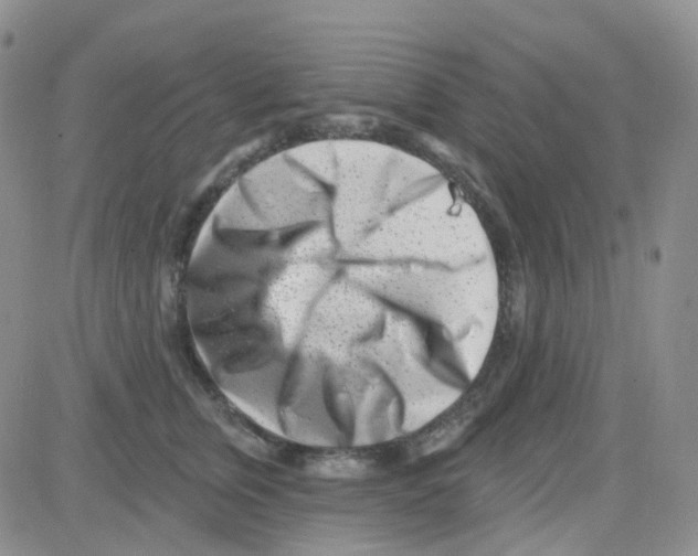 X0000082730759200702232347