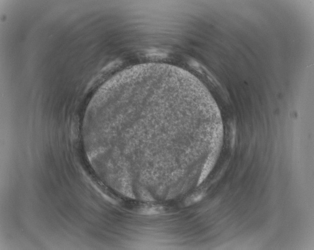 X0000082730760200702232347