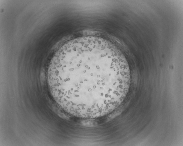 X0000082730761200702232347