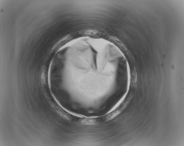 X0000082730762200702232347