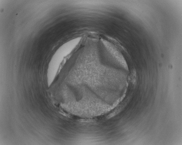 X0000082730763200702232347