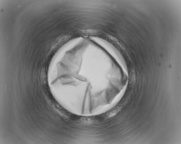 X0000082730764200702232347