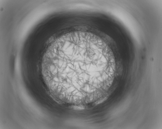 X0000082730765200702232347